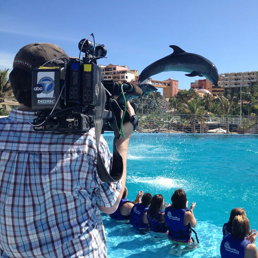 Filming with a dolphin in Cabo San Lucas